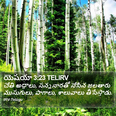 యెషయా 3:23 TELIRV Bible Verse Image