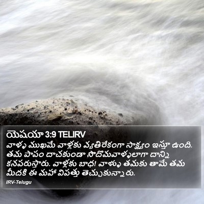 యెషయా 3:9 TELIRV Bible Verse Image