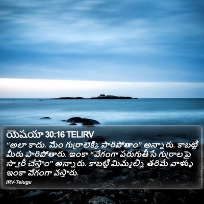 యెషయా 30:16 TELIRV Bible Verse Image