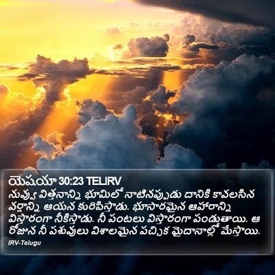 యెషయా 30:23 TELIRV Bible Verse Image