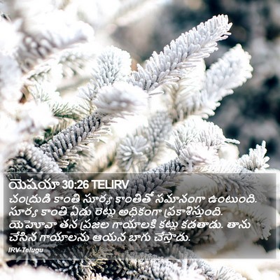 యెషయా 30:26 TELIRV Bible Verse Image