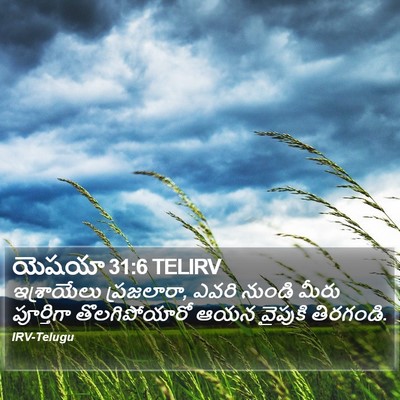 యెషయా 31:6 TELIRV Bible Verse Image