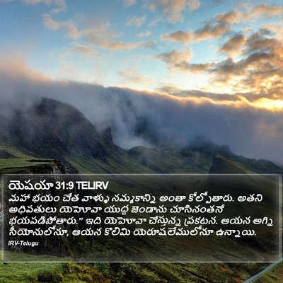 యెషయా 31:9 TELIRV Bible Verse Image