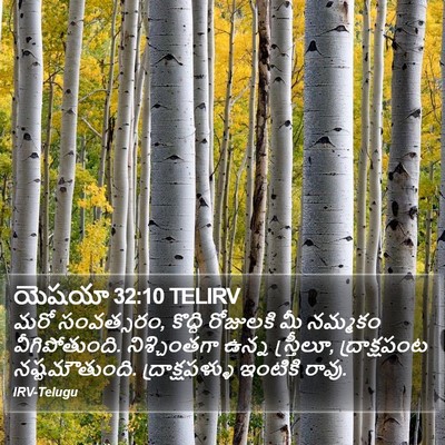యెషయా 32:10 TELIRV Bible Verse Image