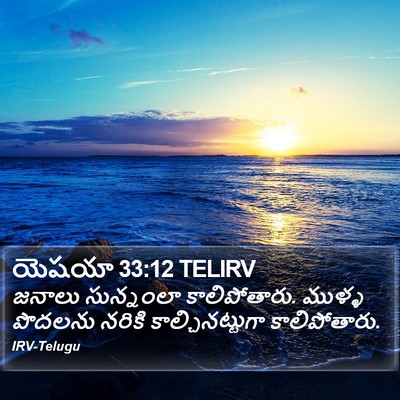 యెషయా 33:12 TELIRV Bible Verse Image