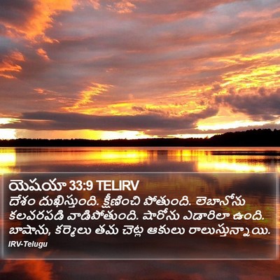 యెషయా 33:9 TELIRV Bible Verse Image