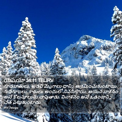 యెషయా 34:11 TELIRV Bible Verse Image