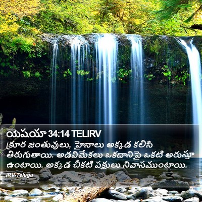 యెషయా 34:14 TELIRV Bible Verse Image