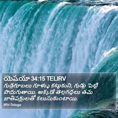 యెషయా 34:15 TELIRV Bible Verse Image