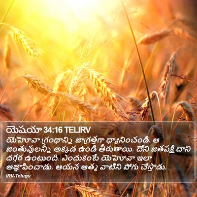 యెషయా 34:16 TELIRV Bible Verse Image