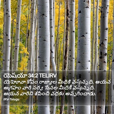 యెషయా 34:2 TELIRV Bible Verse Image