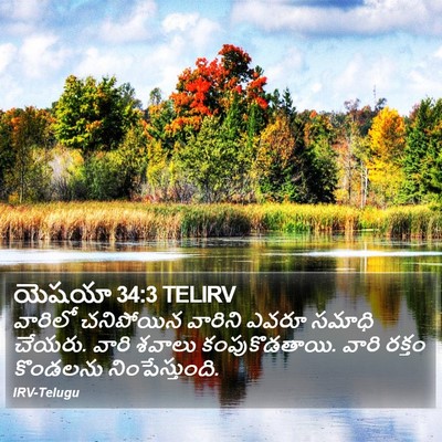 యెషయా 34:3 TELIRV Bible Verse Image