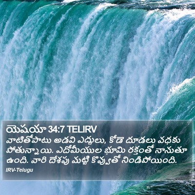 యెషయా 34:7 TELIRV Bible Verse Image