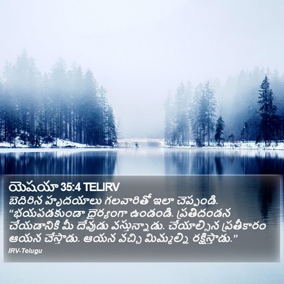 యెషయా 35:4 TELIRV Bible Verse Image