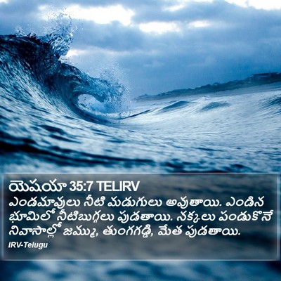 యెషయా 35:7 TELIRV Bible Verse Image