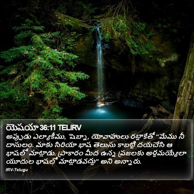 యెషయా 36:11 TELIRV Bible Verse Image