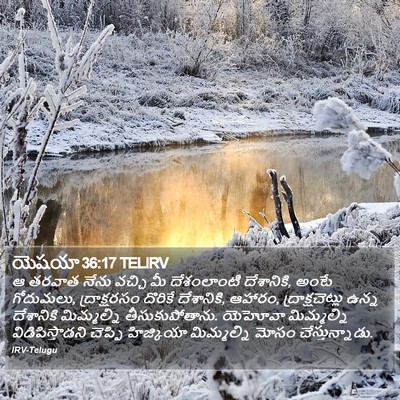 యెషయా 36:17 TELIRV Bible Verse Image