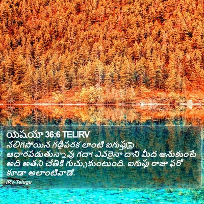 యెషయా 36:6 TELIRV Bible Verse Image