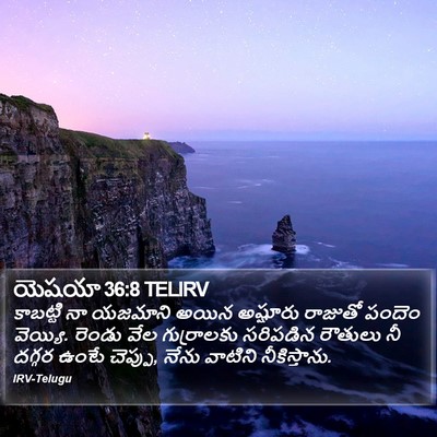 యెషయా 36:8 TELIRV Bible Verse Image