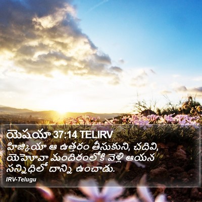 యెషయా 37:14 TELIRV Bible Verse Image