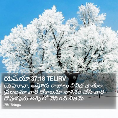 యెషయా 37:18 TELIRV Bible Verse Image