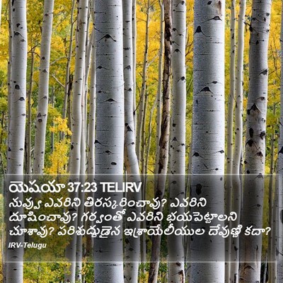 యెషయా 37:23 TELIRV Bible Verse Image