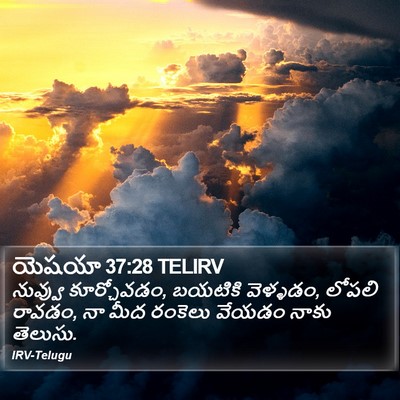 యెషయా 37:28 TELIRV Bible Verse Image