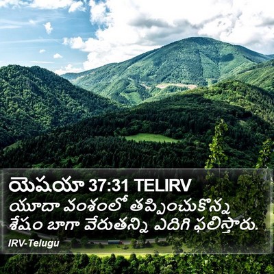 యెషయా 37:31 TELIRV Bible Verse Image