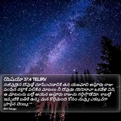 యెషయా 37:4 TELIRV Bible Verse Image