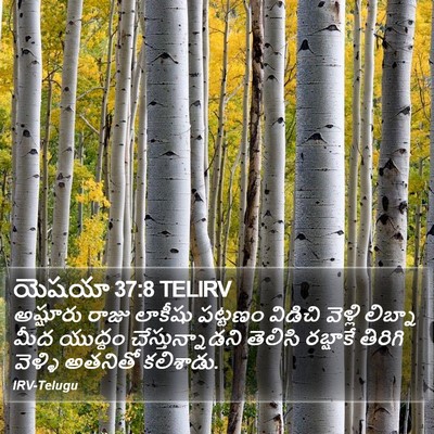 యెషయా 37:8 TELIRV Bible Verse Image