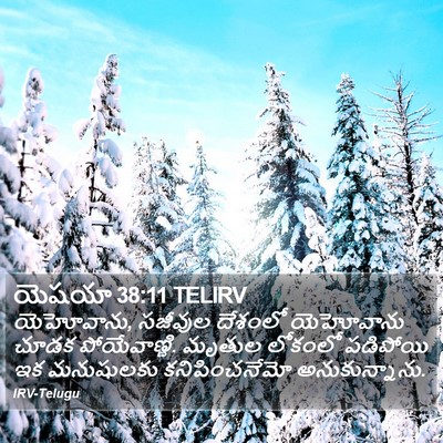 యెషయా 38:11 TELIRV Bible Verse Image