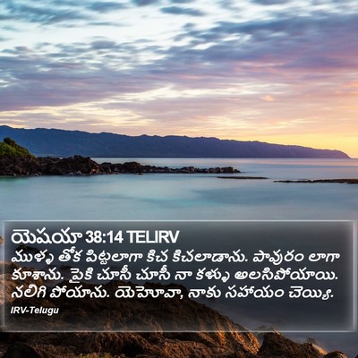 యెషయా 38:14 TELIRV Bible Verse Image