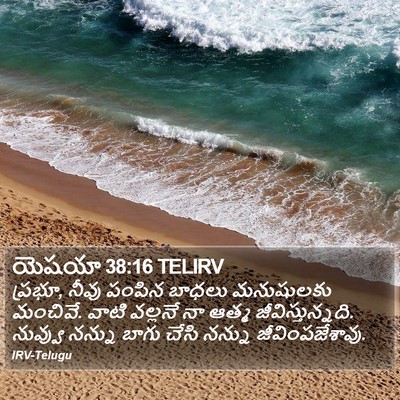 యెషయా 38:16 TELIRV Bible Verse Image