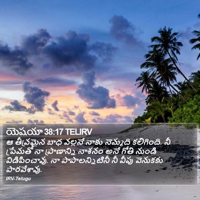 యెషయా 38:17 TELIRV Bible Verse Image
