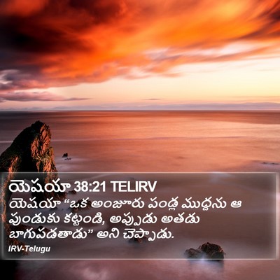 యెషయా 38:21 TELIRV Bible Verse Image