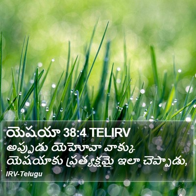 యెషయా 38:4 TELIRV Bible Verse Image