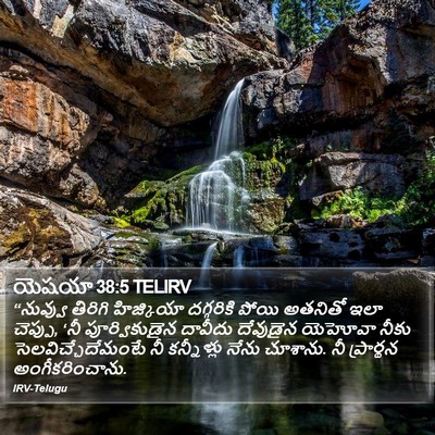 యెషయా 38:5 TELIRV Bible Verse Image