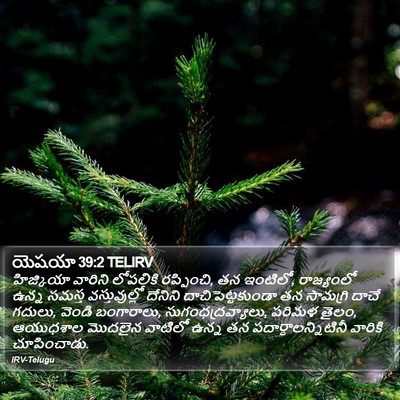 యెషయా 39:2 TELIRV Bible Verse Image