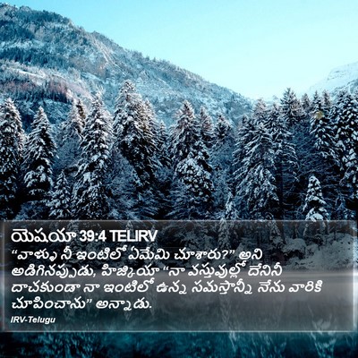 యెషయా 39:4 TELIRV Bible Verse Image