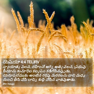 యెషయా 4:4 TELIRV Bible Verse Image