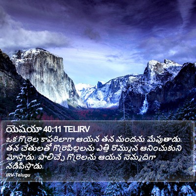యెషయా 40:11 TELIRV Bible Verse Image