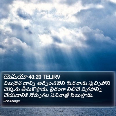 యెషయా 40:20 TELIRV Bible Verse Image