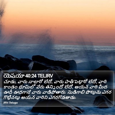 యెషయా 40:24 TELIRV Bible Verse Image