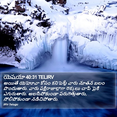 యెషయా 40:31 TELIRV Bible Verse Image
