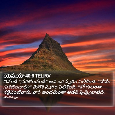 యెషయా 40:6 TELIRV Bible Verse Image