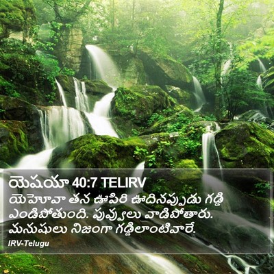 యెషయా 40:7 TELIRV Bible Verse Image