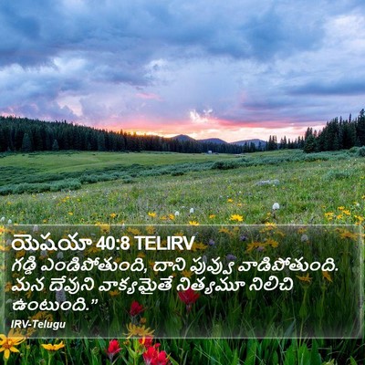 యెషయా 40:8 TELIRV Bible Verse Image