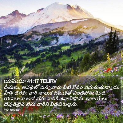 యెషయా 41:17 TELIRV Bible Verse Image
