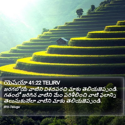 యెషయా 41:22 TELIRV Bible Verse Image