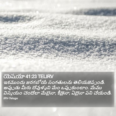 యెషయా 41:23 TELIRV Bible Verse Image